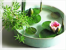 �Ԃ̃��b�X��