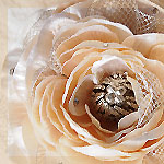 �V�F���f�R�p�[�W��